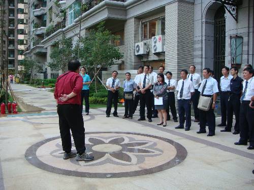 200807248171.JPG
